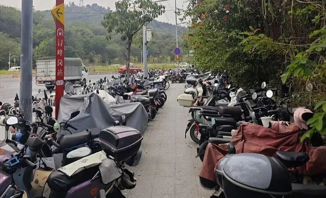 電動(dòng)自行車增長趨勢(shì)_廣州限行政策_(dá)禁行