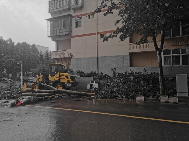 城市暴雨出行攻略_強(qiáng)降雨出行安全提示_出行提示
