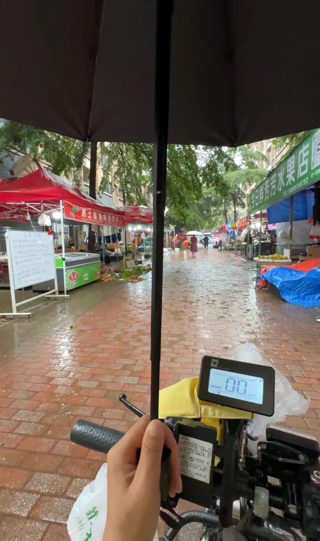 暑期輪椅旅行準(zhǔn)備_出行提示_無(wú)障礙旅游出行指南