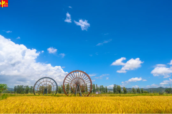 中山臺(tái)風(fēng)預(yù)報(bào)_中山黑煙車禁行罰款_禁行