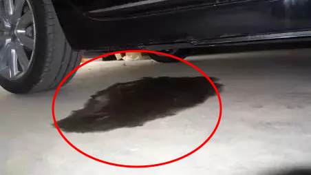 雪天行車安全注意事項(xiàng)_開車前繞車一周_出行提示