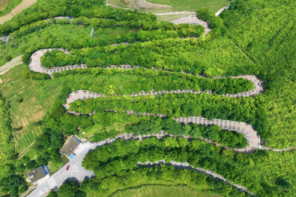 農(nóng)村道路交通安全提示_出行提示_駕駛人出行安全