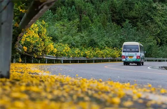 出行提示_農(nóng)村道路交通安全提示_駕駛人出行安全