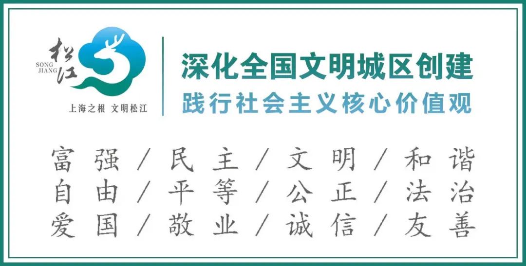 郊區(qū)道路事故預(yù)防_出行提示_清明2025年交通安全風(fēng)險分析