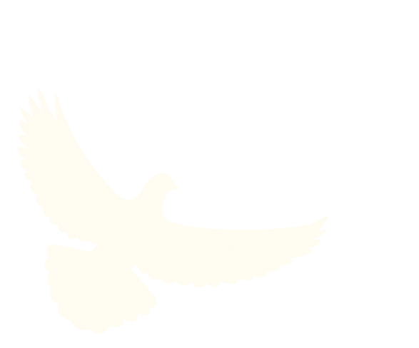 出行提示_定安2025國慶中秋出行安全攻略_定安國慶中秋道路交通安全提示