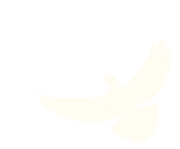 定安國慶中秋道路交通安全提示_出行提示_定安2025國慶中秋出行安全攻略