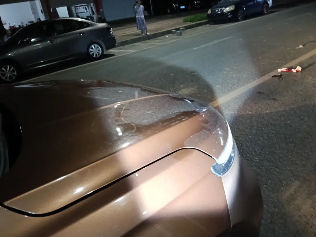 路況_行車安全注意事項(xiàng)_駕駛觀察禮讓行人