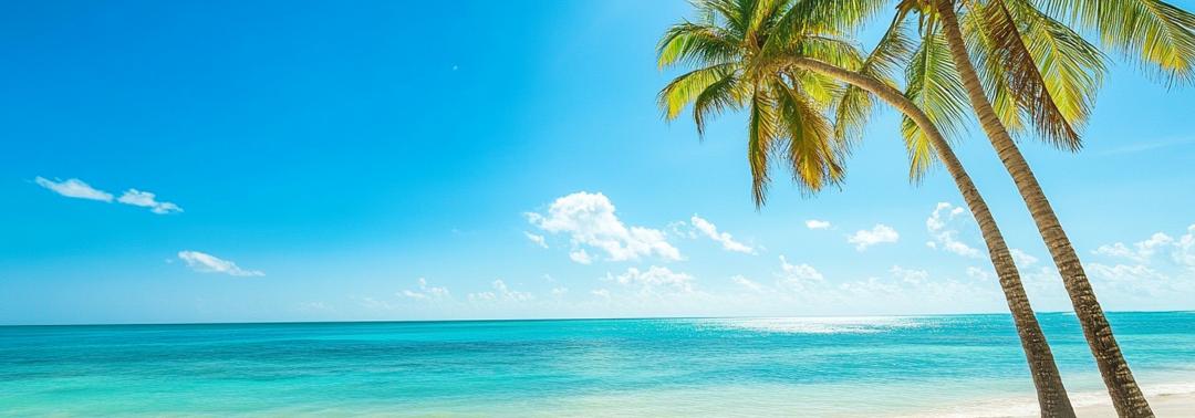 國(guó)慶自駕避堵攻略_自駕出行安全貼士_出行提示